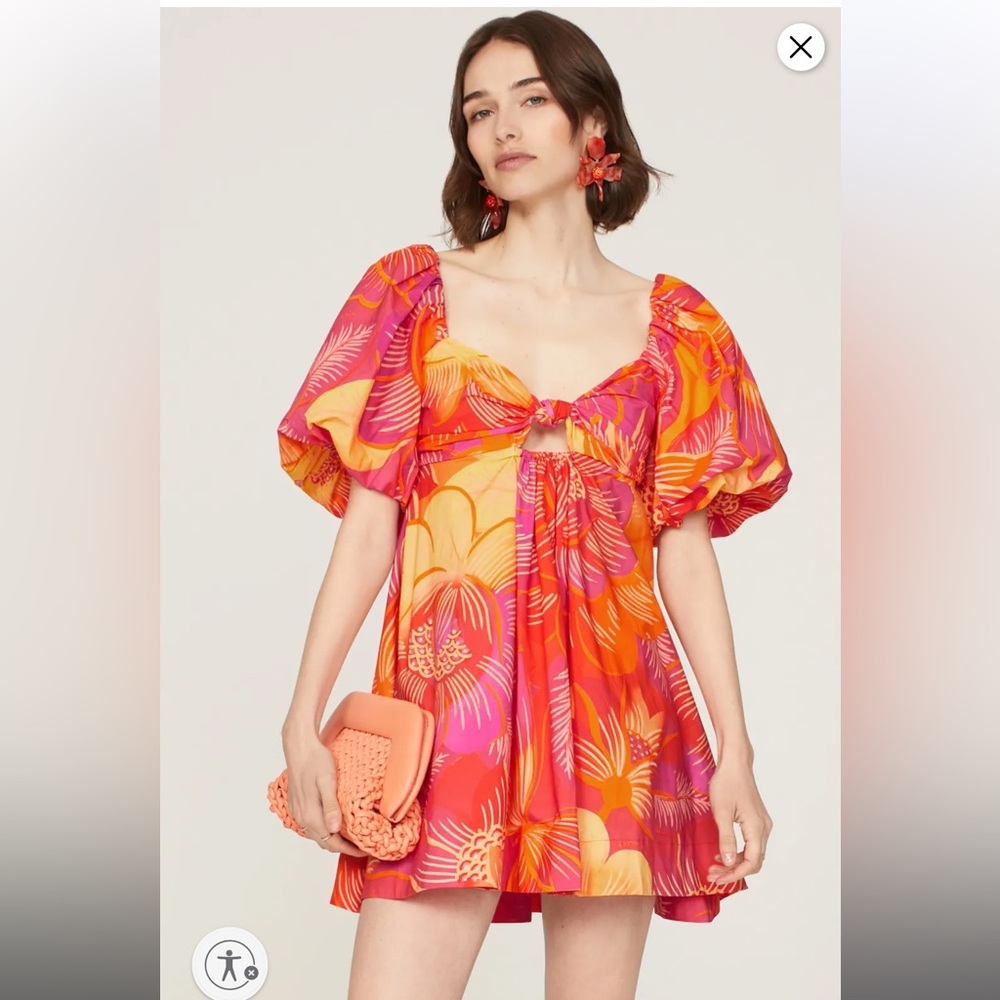 Farm Rio summer garden mini dress